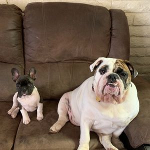 Meet your Posher, Trina